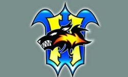 ‘For the strength of the pack is the wolf, and the strength of the wolf is the pack’