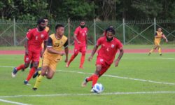 Wasps fall to Maldives