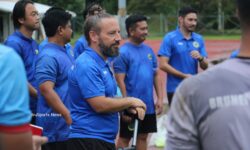 Wasps prepared to sting