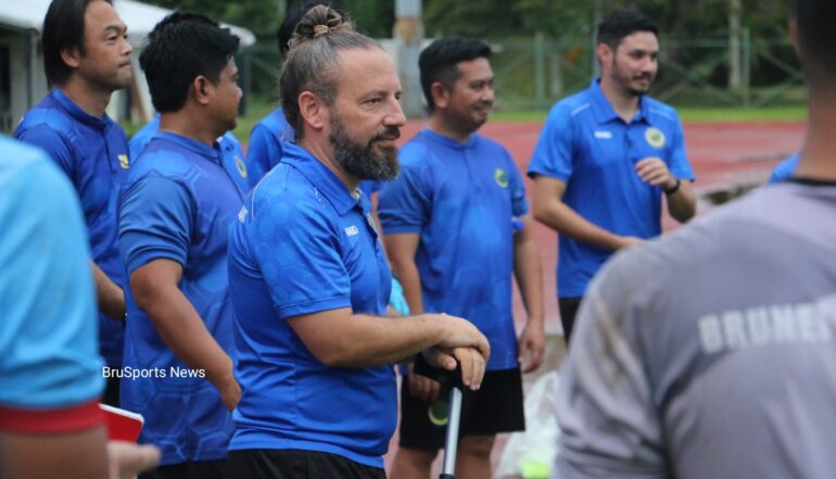 Wasps prepared to sting