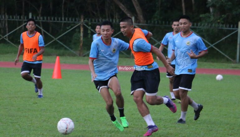 Wasps prepared for battle